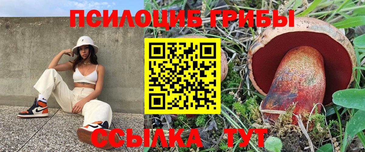 Галлюциногенные грибы ЛСД Урюпинск