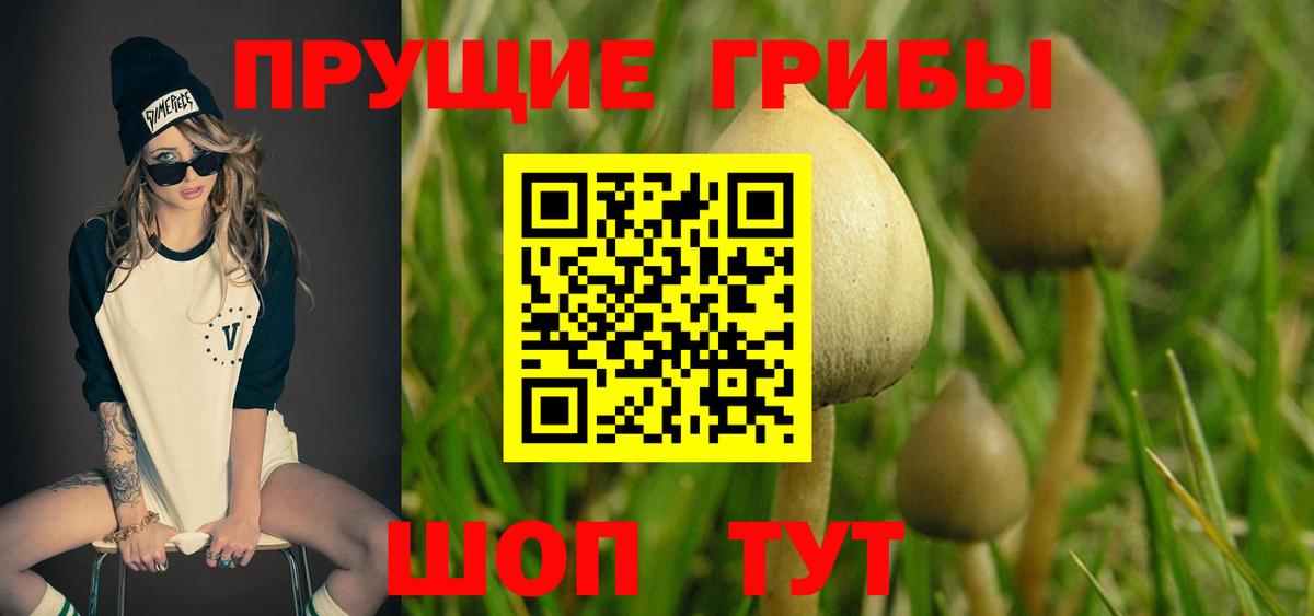 Урюпинск  Псилоцибиновые грибы MAGIC MUSHROOMS  купить наркотик  Вход с VPN  Галлюциногенные грибы Magic Shrooms 
